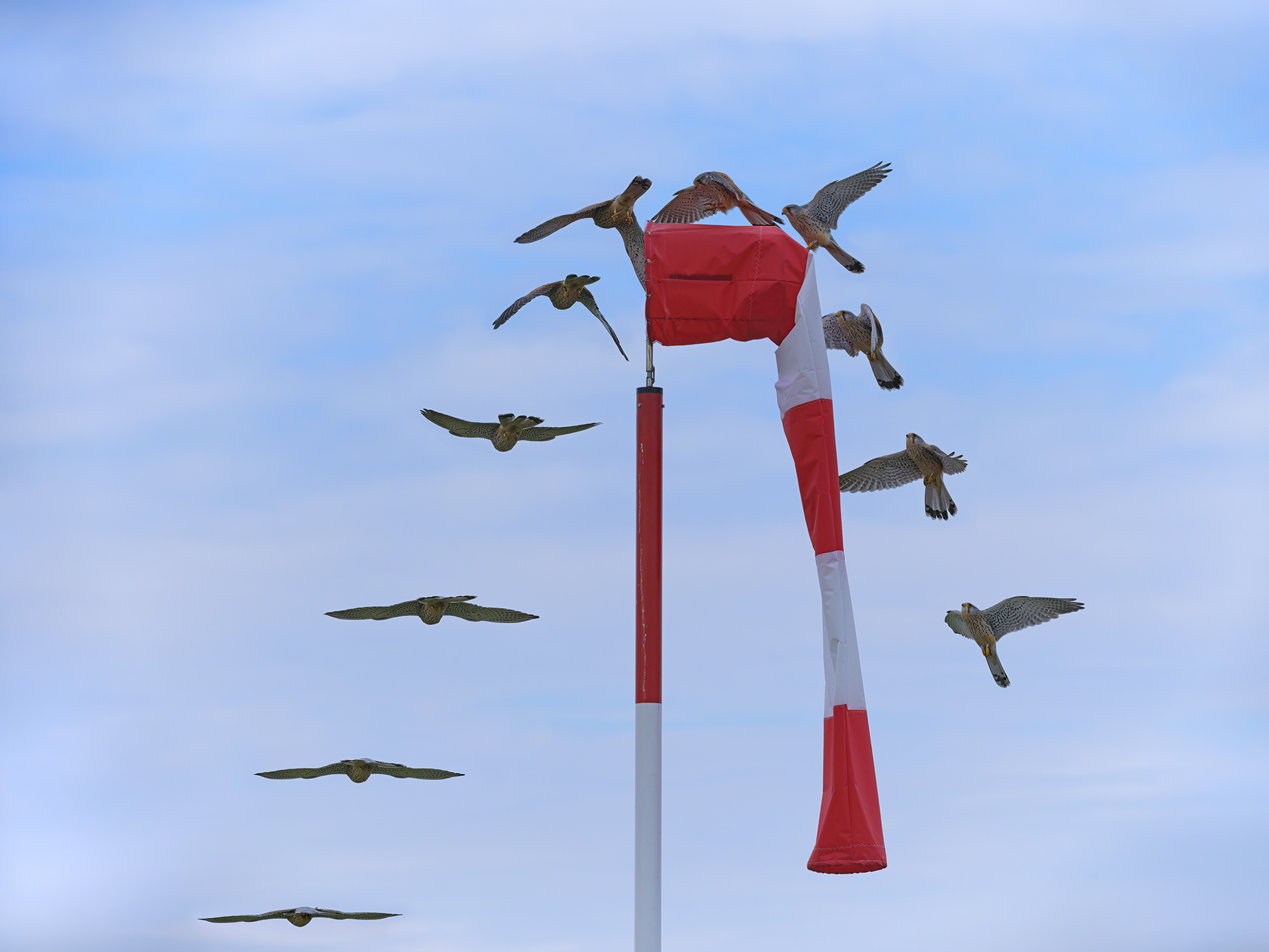 Ein Windsack als ...